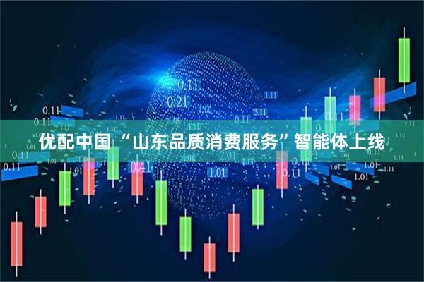 优配中国 “山东品质消费服务”智能体上线